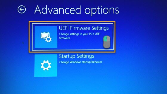 UEFI firmware settings in Boot Options Menu