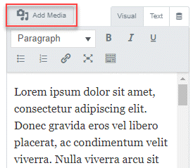 Text Editor widget with Add Media option highlighted